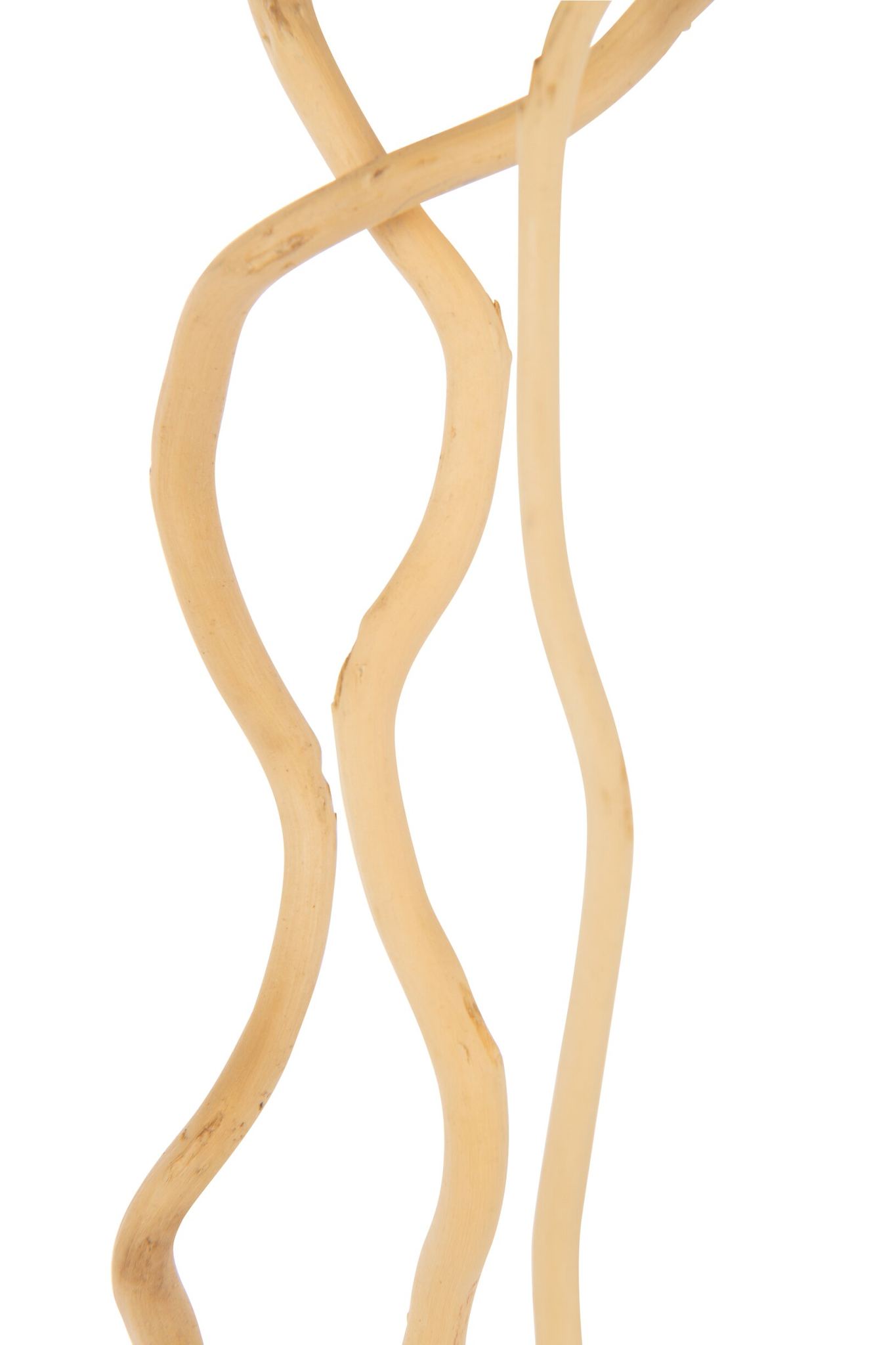 Droogbloemen Piellaro Naturel, slanke naturel takken voor een stijlvol, luchtig interieuraccent