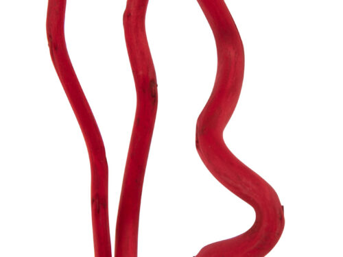 Droogbloemen Skoolund Rood, 3 slanke rode takken voor een warme, natuurlijke woonaccessoire look