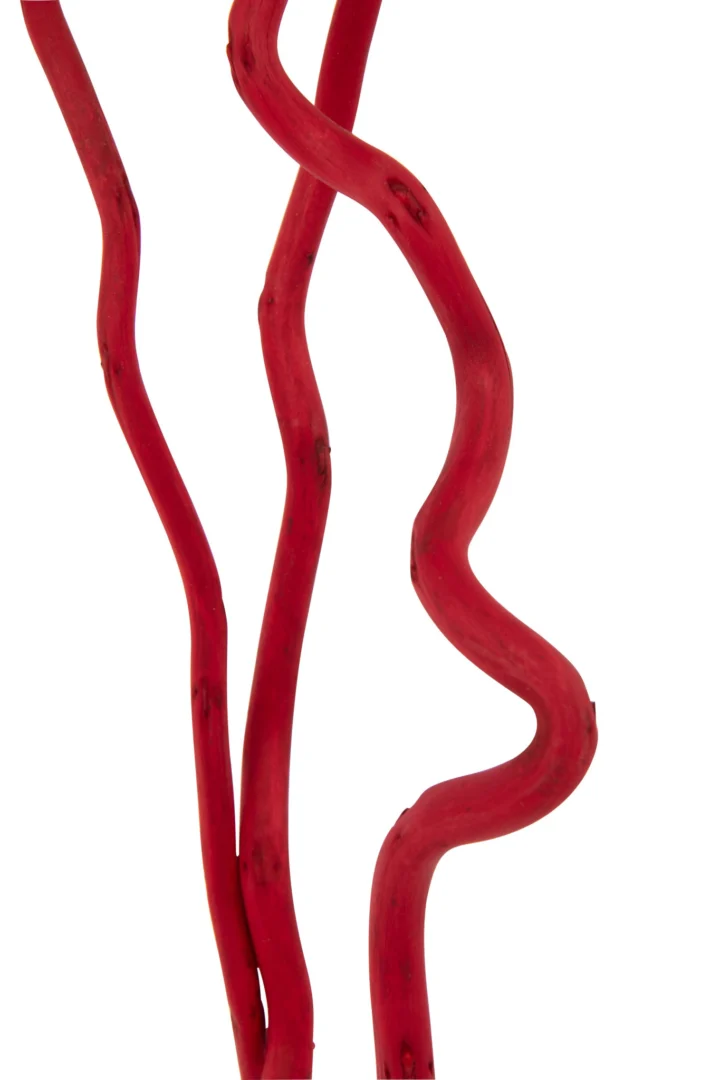 Droogbloemen Skoolund Rood, 3 slanke rode takken voor een warme, natuurlijke woonaccessoire look