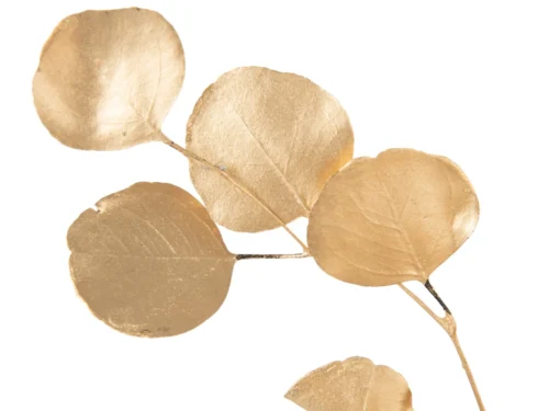 Droogbloemen Mastik Goud met goudkleurige eucalyptusbladeren, natuurlijke glans en decoratieve takken