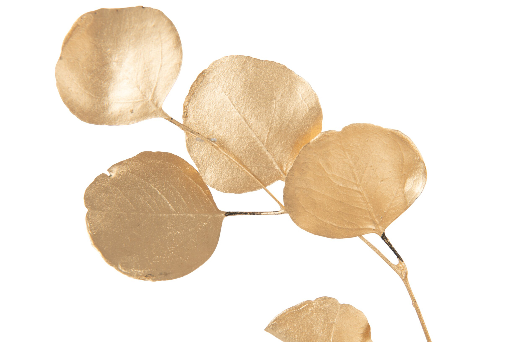 Droogbloemen Mastik Goud