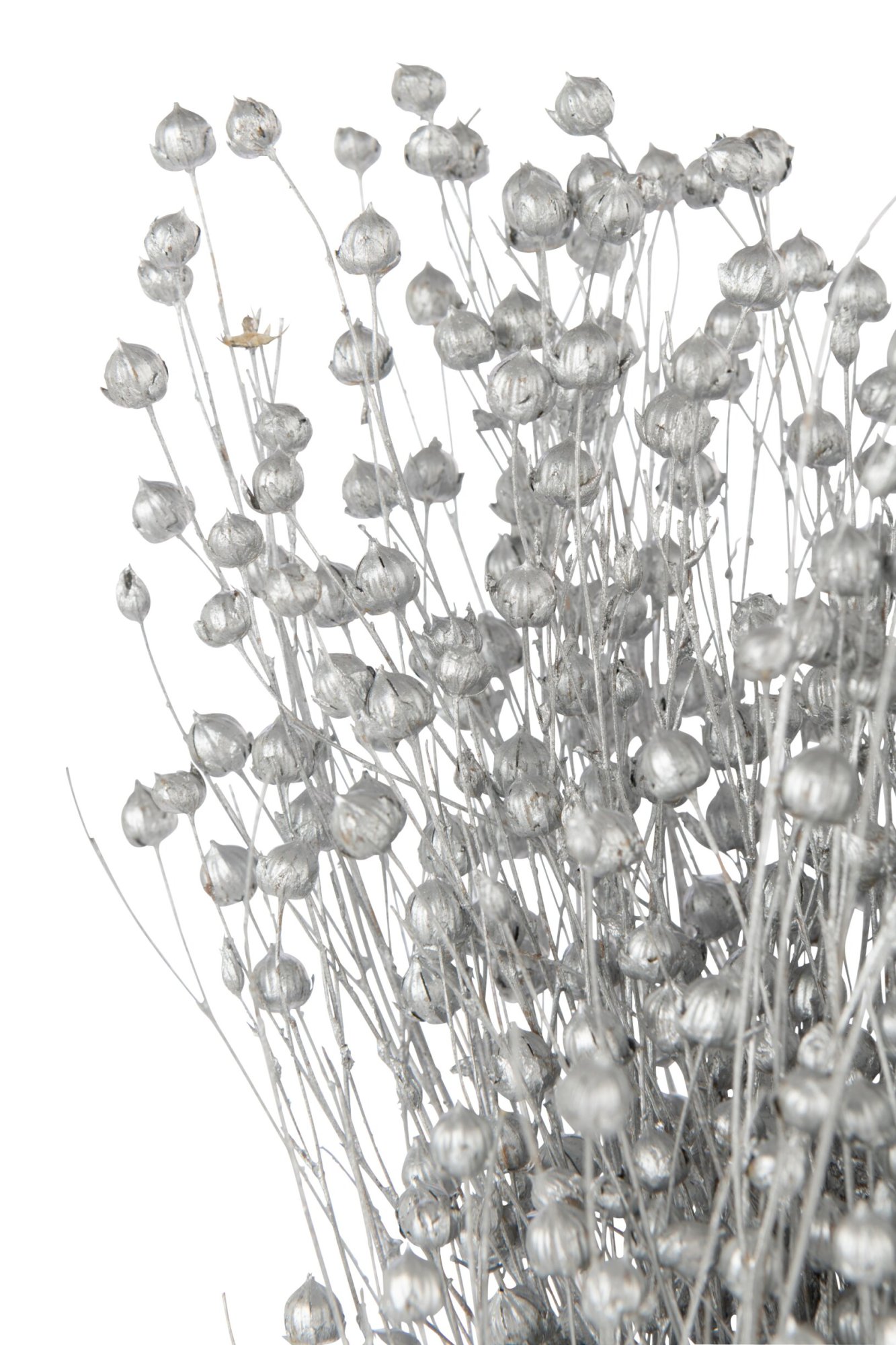 Droogbloemen Daskine Linnen Zilver