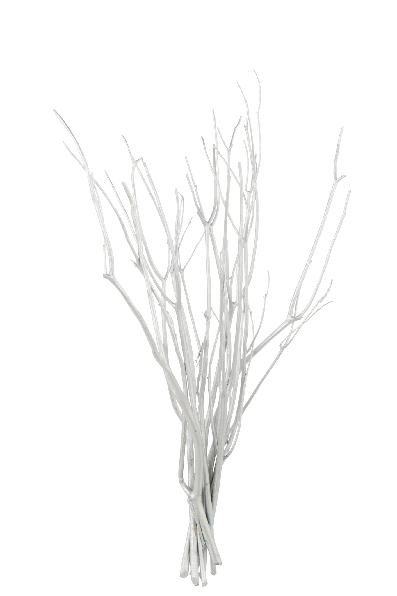 Droogbloemen Preevonte Zilver - Afbeelding 2