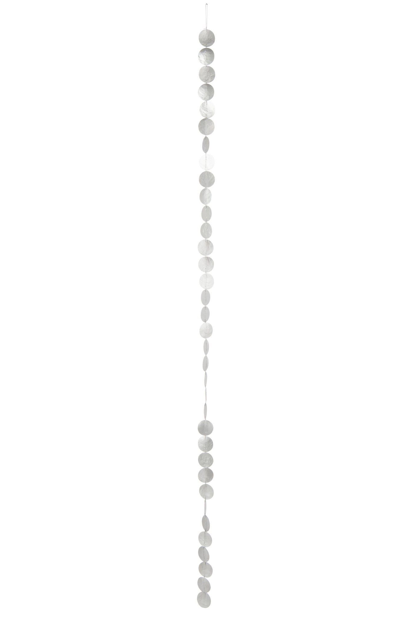 Droogbloemen Skollano Zilver - Afbeelding 2