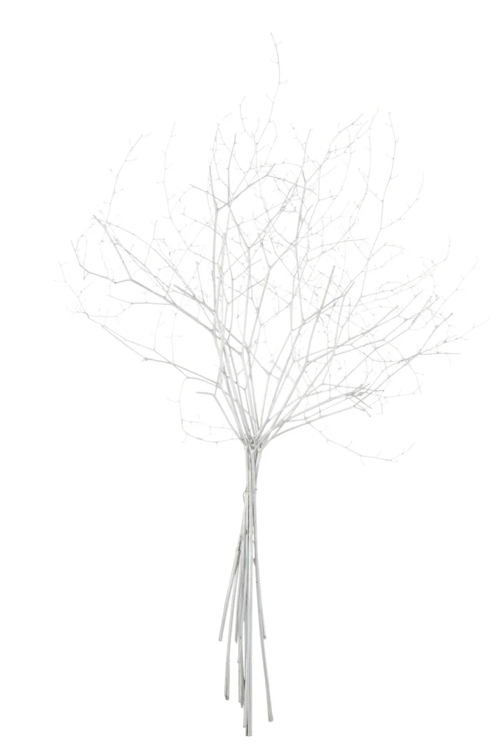 Droogbloemen Sleimello Zilver - Afbeelding 2
