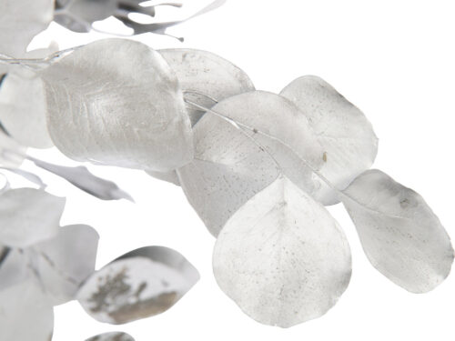 Droogbloemen Troorril Zilver met zilverkleurige eucalyptusbladeren, verfijnd en stijlvol woonaccessoire