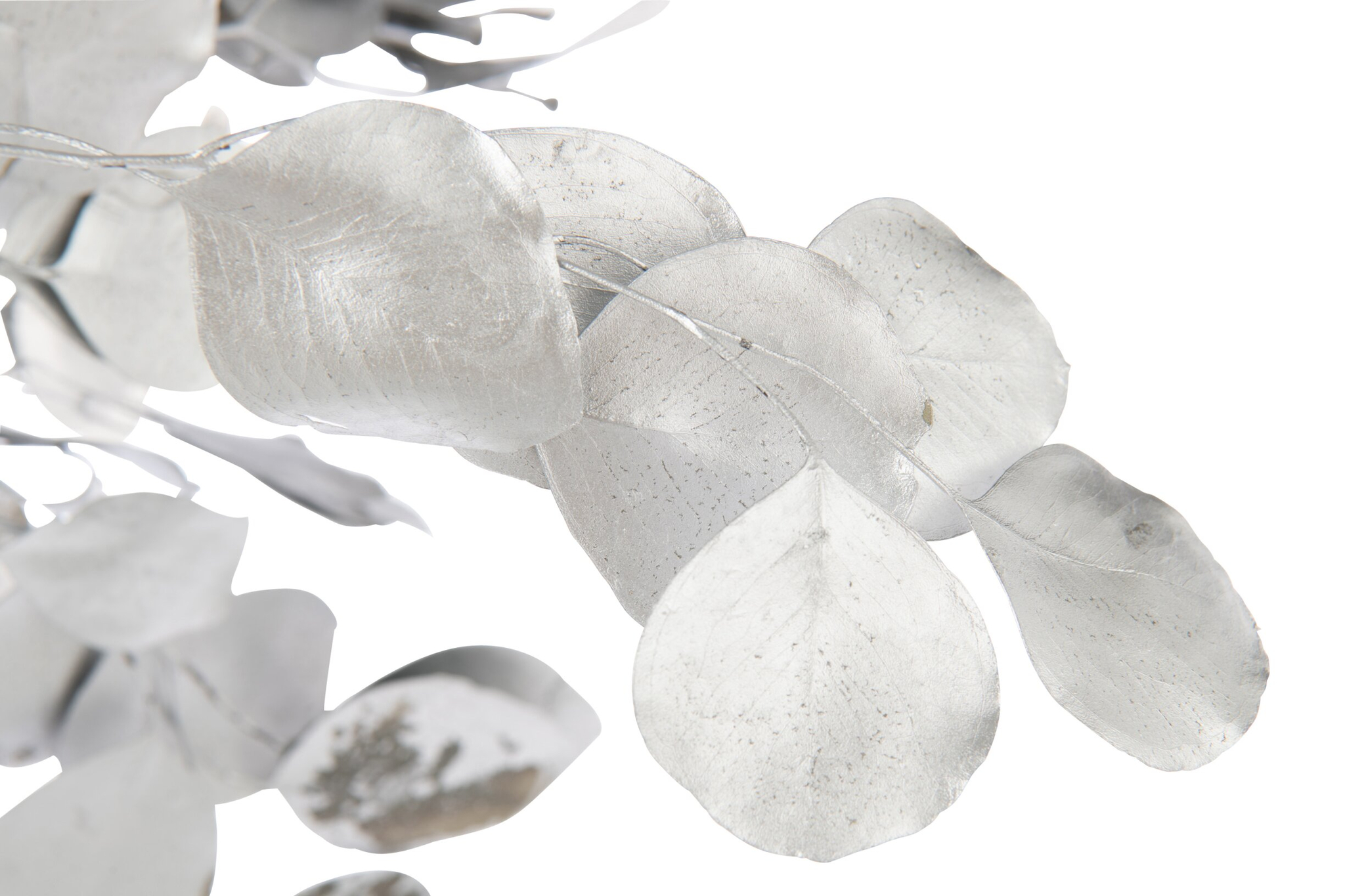 Droogbloemen Troorril Zilver