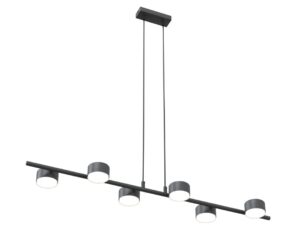 Hanglamp Riennik Zwart