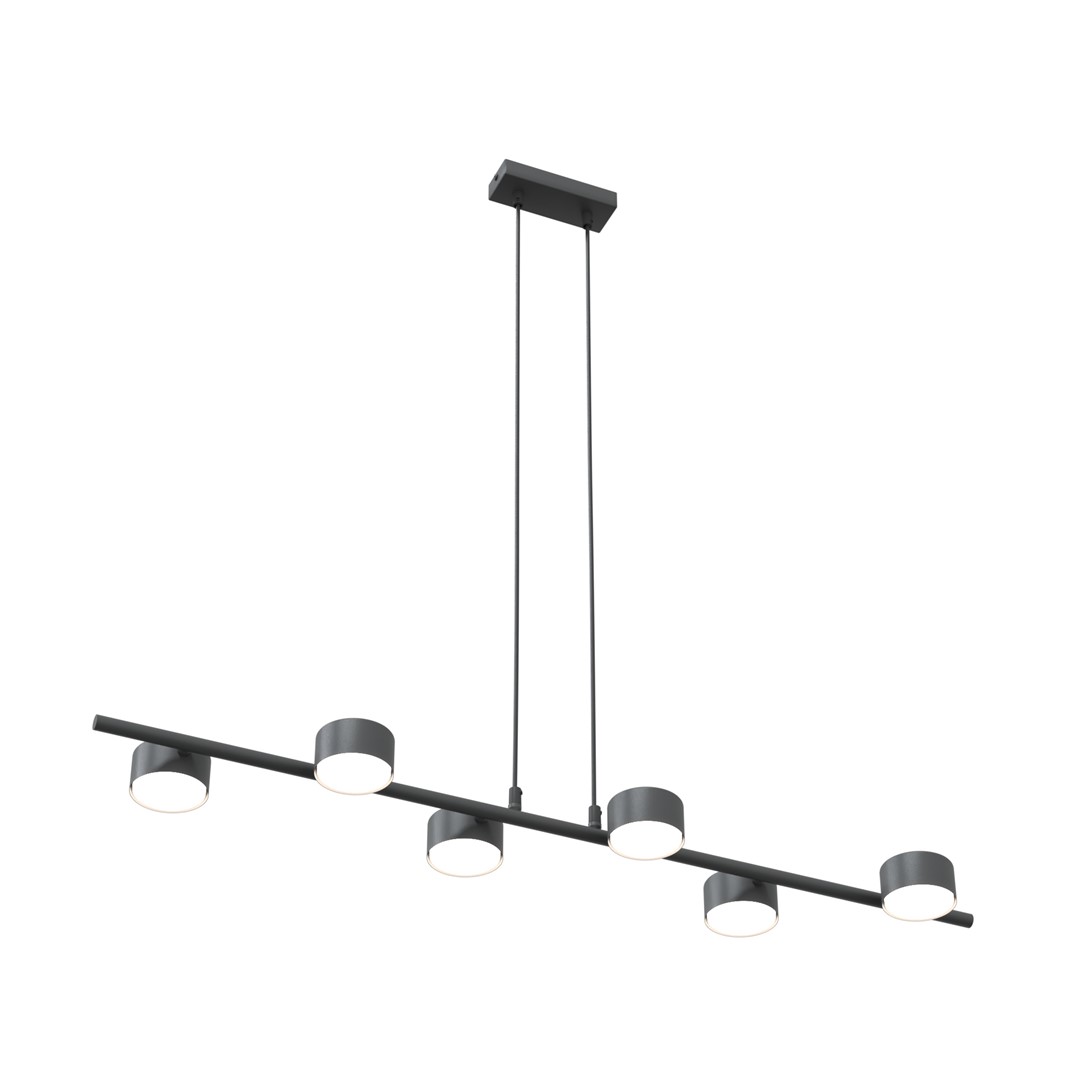 Hanglamp Riennik Zwart