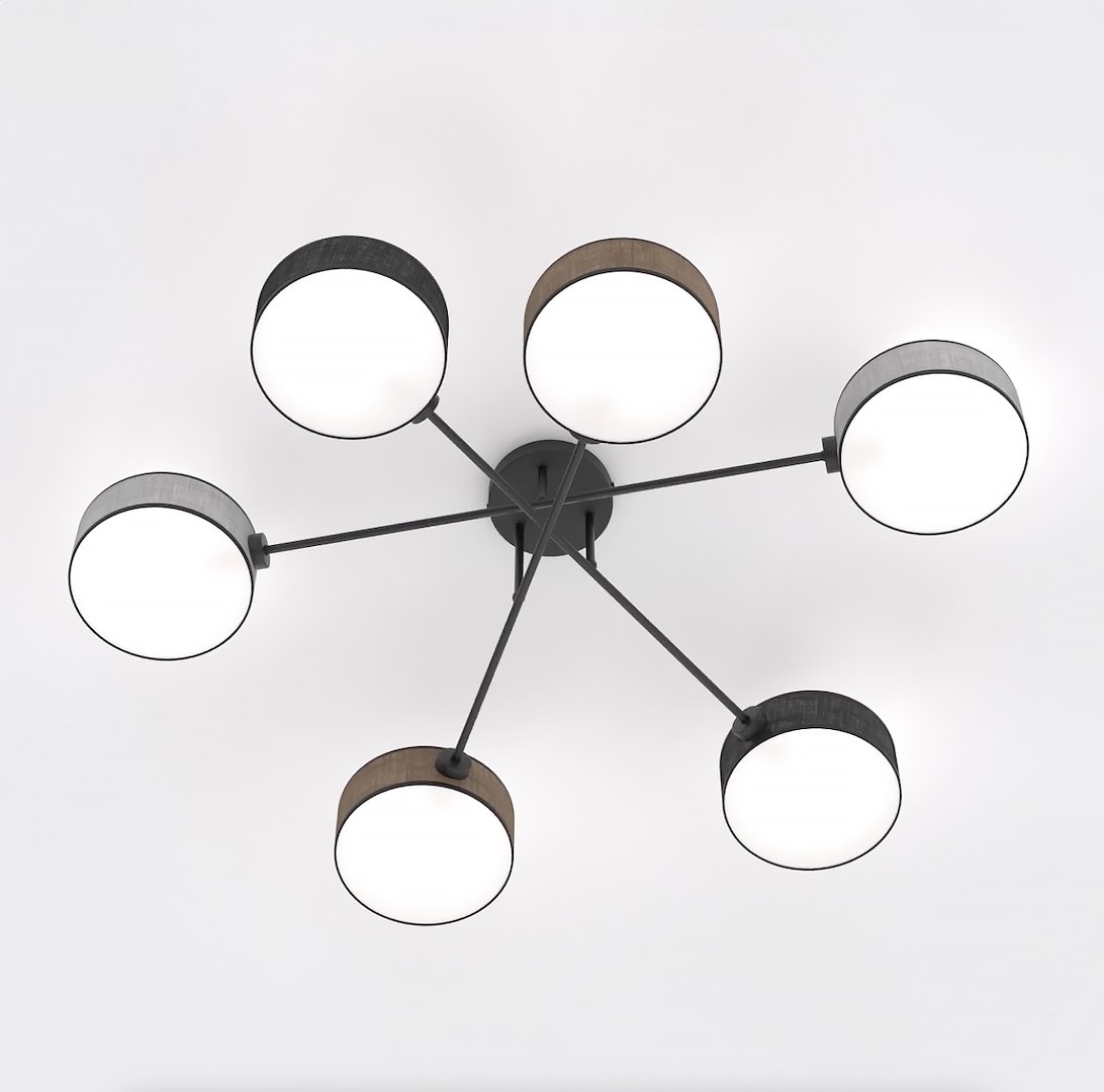 Plafondlamp Doomund Zwart Ø20 cm - Afbeelding 3