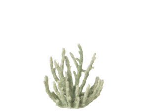 Woonaccessoire Braudoro Polyresin Groen