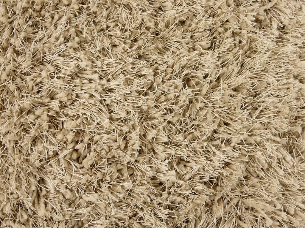 Vloerkleed Breisas in beige, zacht hoogpolig vloerkleed met warme, speelse textuur
