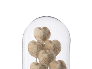 Decoratie Lelvino Glas Brons