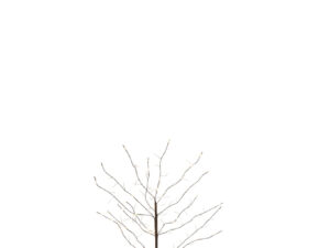 Kunstboom Rallona Wit H100 cm