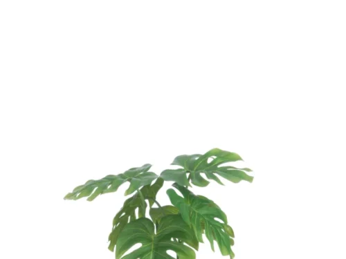 Kunstbloem Boston groen-wit in witte pot, compacte onderhoudsvrije philodendronlook for binnen decoratie