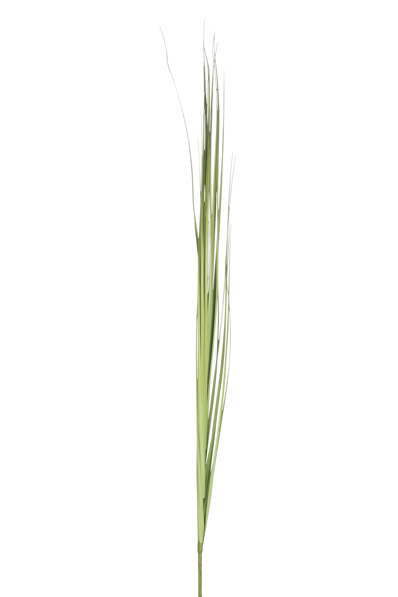 Kunstbloem Cander Kunststof Groen