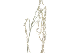 Woonaccessoire Verio Kunststof Roze