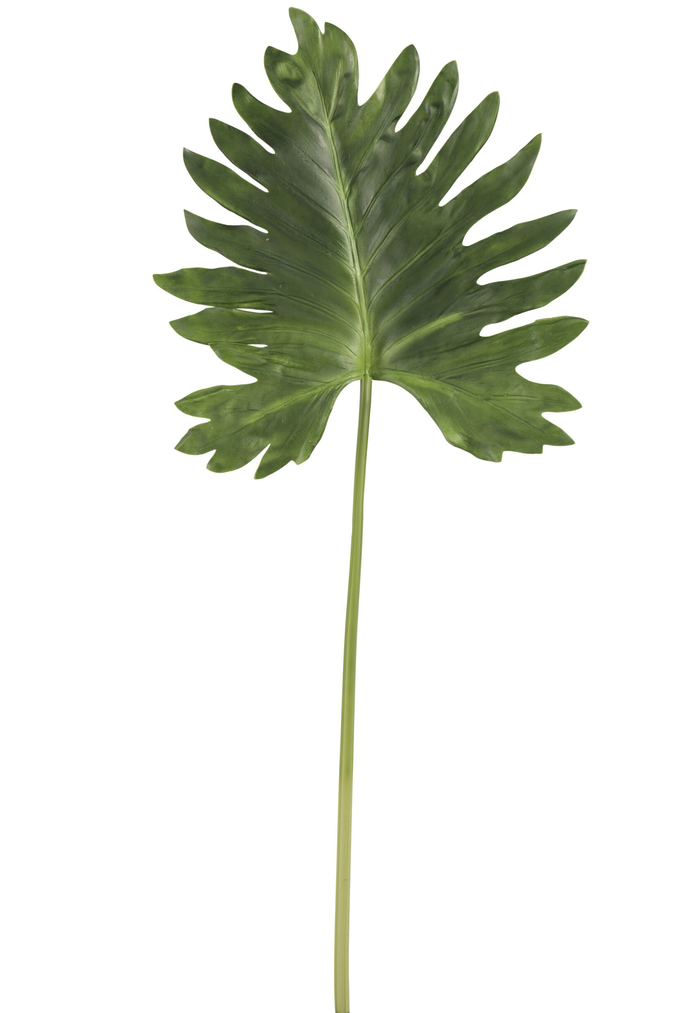 Tafelblad Reeldis Polyurethaan 43 cm - Afbeelding 2