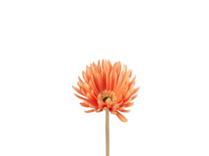 Kunstbloem Klaundond Kunstleer Oranje