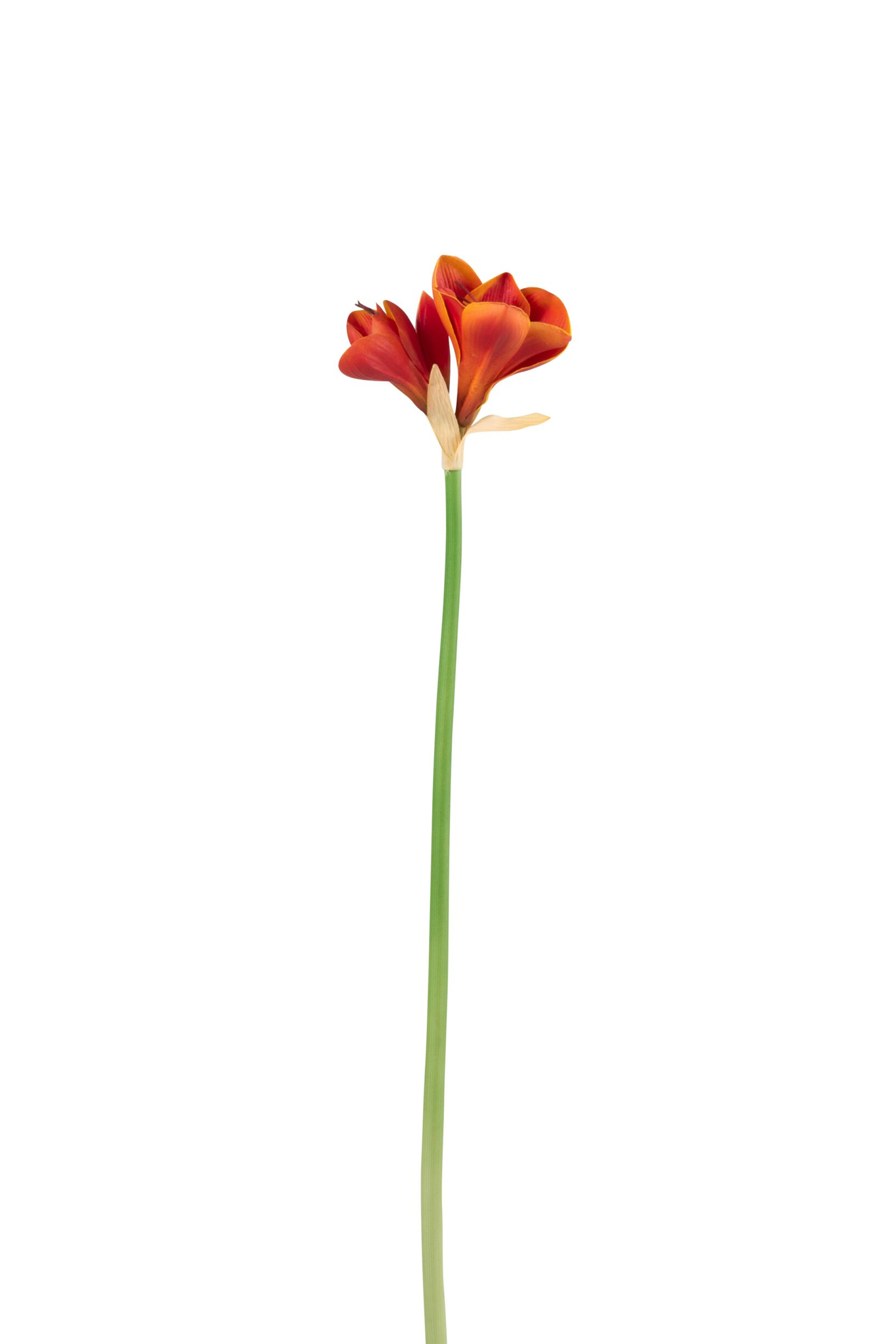 Kunstbloem Nistang oranje-roest amaryllis met drie bloemen en slanke groene steel