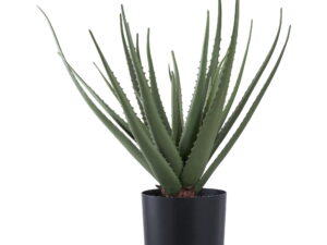 Kunstplant Roonnero Kunststof Groen H51 cm