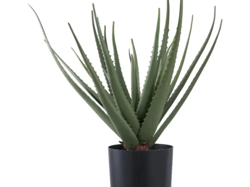 Kunstplant Roonnero groene aloë, 51 cm hoog in zwarte pot, onderhoudsvrij PE-kunststof voor interieurdecoratie