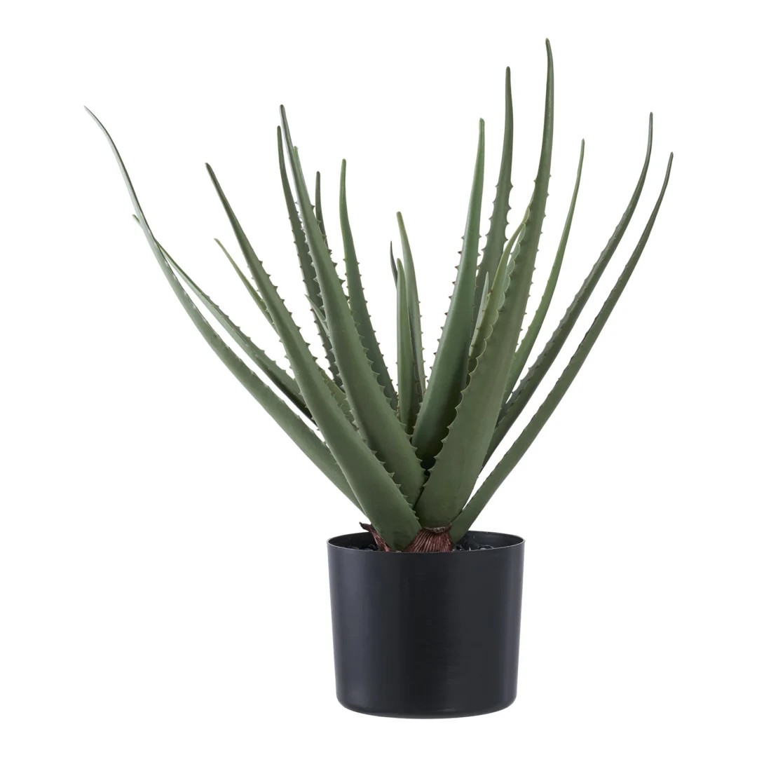 Kunstplant Roonnero groene aloë, 51 cm hoog in zwarte pot, onderhoudsvrij PE-kunststof voor interieurdecoratie