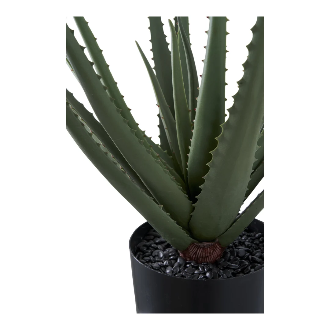 Kunstplant Roonnero Kunststof Groen H51 cm - Afbeelding 2
