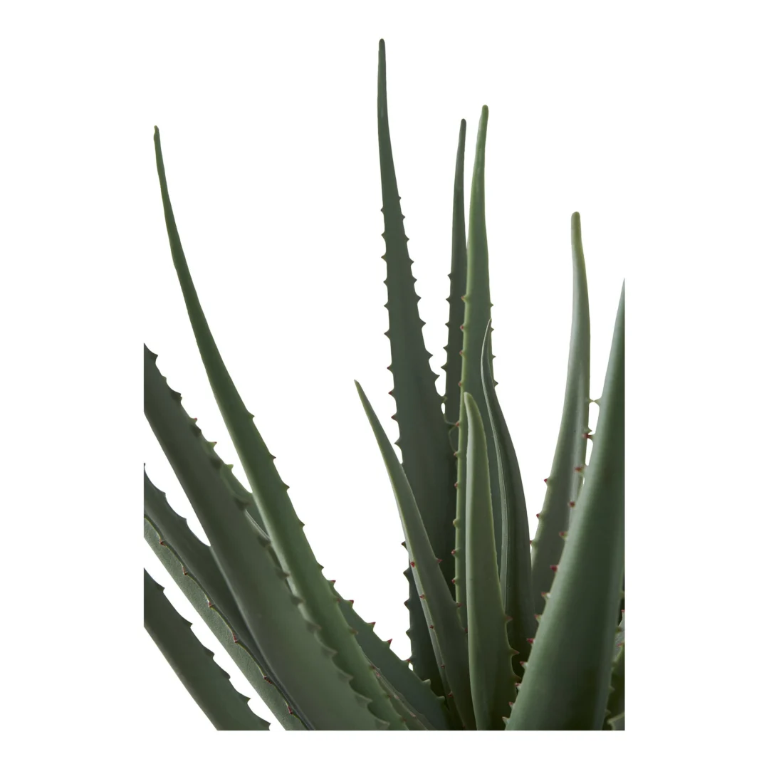 Kunstplant Roonnero Kunststof Groen H51 cm - Afbeelding 3