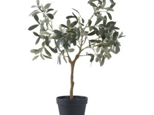 Kunstplant Haannesta Kunststof Groen H61 cm