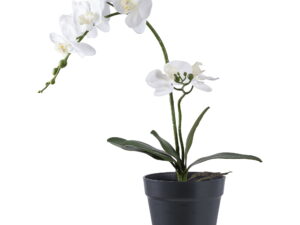 Kunstplant Jornine Kunststof Groen H47 cm