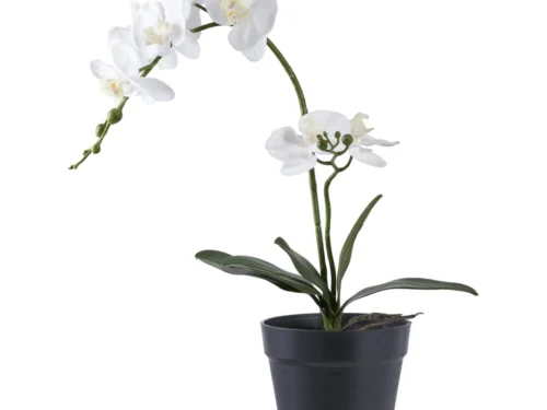 Kunstplant Jornine orchidee met witte bloemen in zwarte pot, 47 cm hoog, onderhoudsvriendelijk kunstgroen