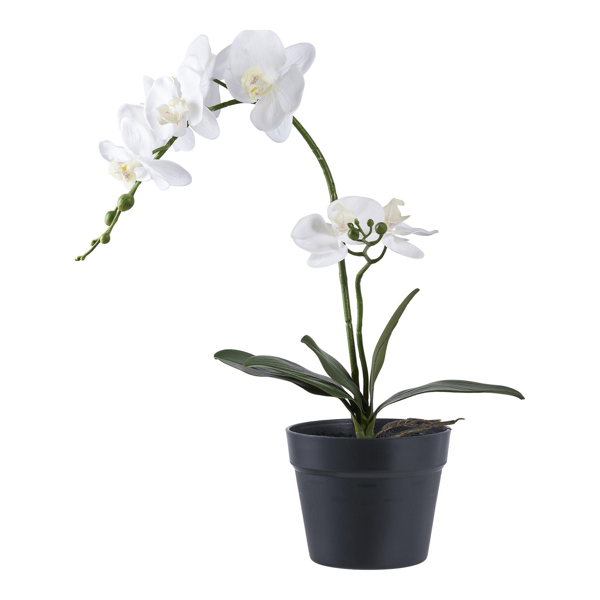 Kunstplant Jornine Kunststof Groen H47 cm