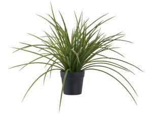 Kunstplant Notang Kunststof Groen H45 cm