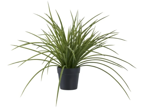 Kunstplant Notang groen in zwarte pot, 45 cm hoog, onderhoudsvriendelijke PE-plastic decoratie