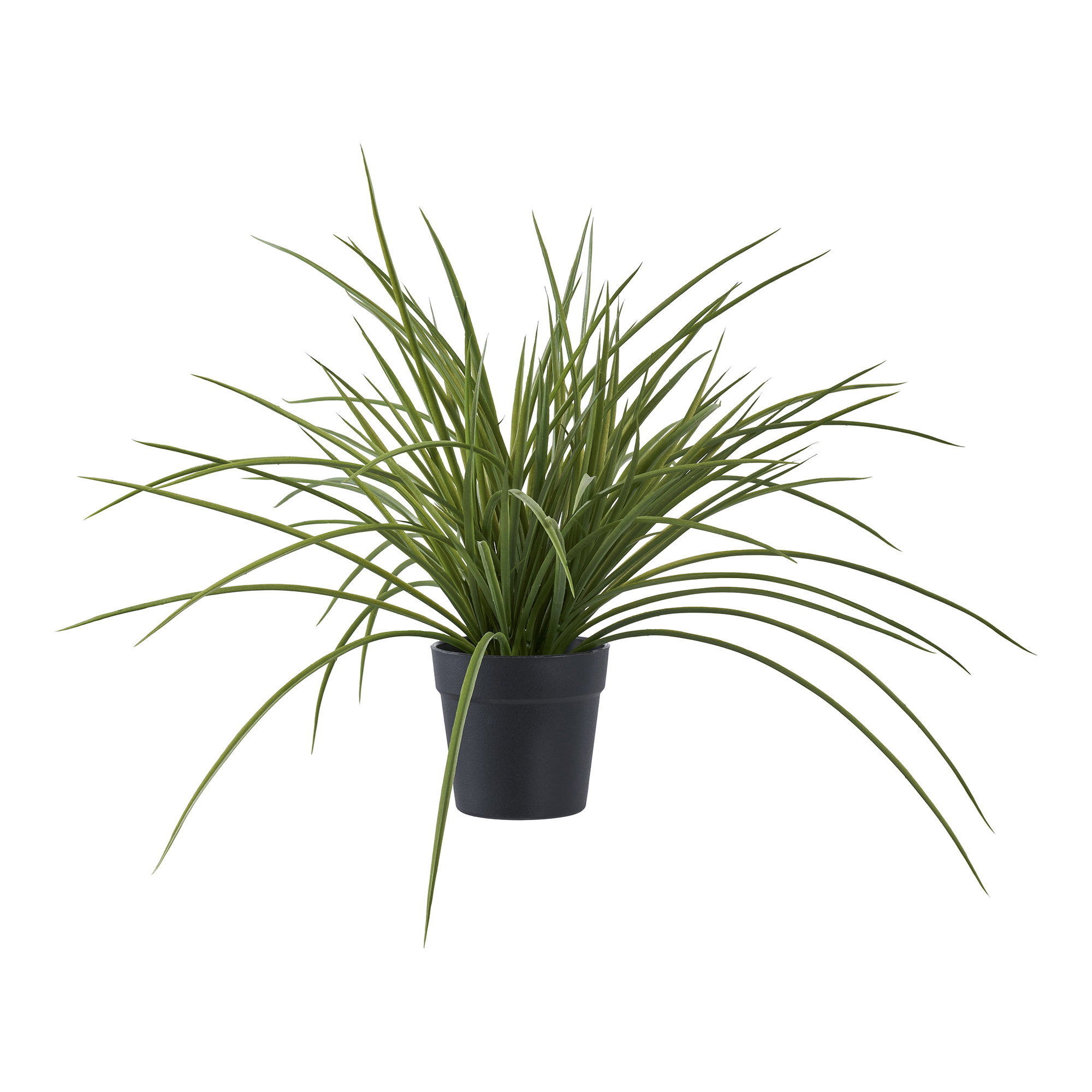 Kunstplant Notang Kunststof Groen H45 cm