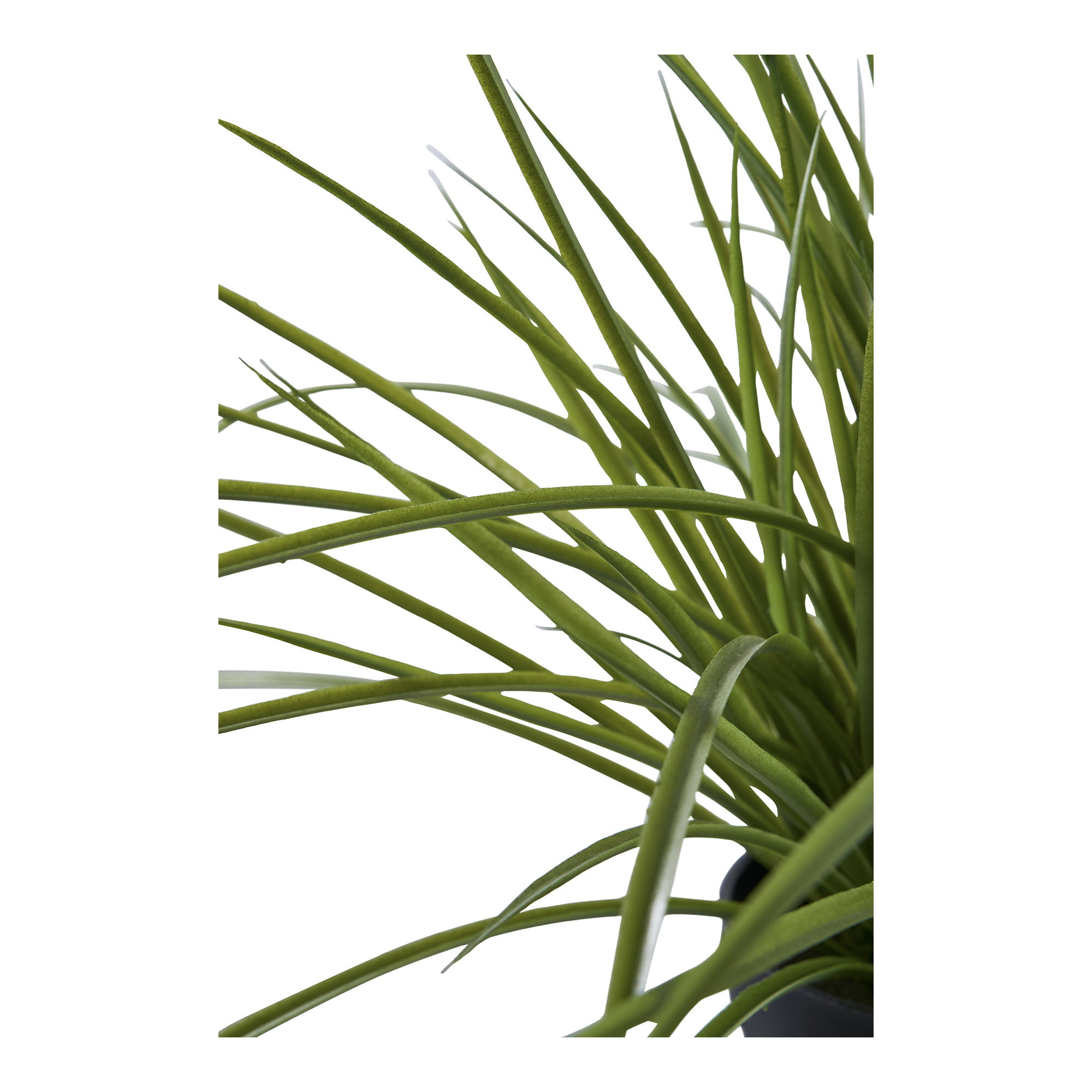 Kunstplant Notang Kunststof Groen H45 cm - Afbeelding 2