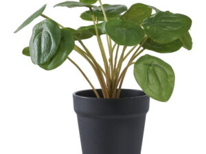 Kunstplant Faudira Kunststof Groen H14 cm