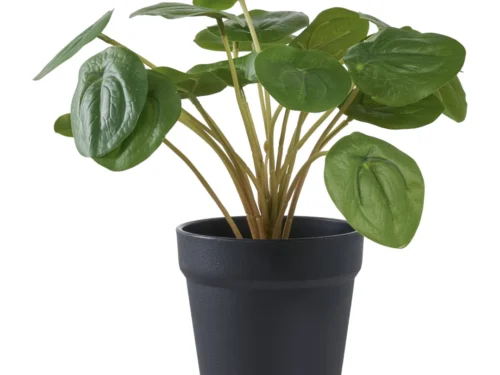 Kunstplant Faudira in zwarte pot, groene PE-bladeren, compact en onderhoudsvrij, H14 cm