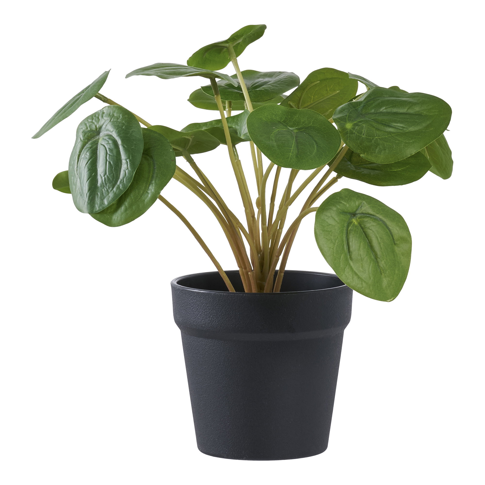 Kunstplant Faudira Kunststof Groen H14 cm