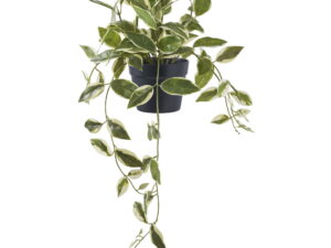 Kunstplant Trauka Kunststof Groen H33 cm