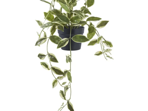 Kunstplant Trauka groen met hangende bladeren in zwarte pot, 33 cm hoog, natuurlijke uitstraling van kunststof