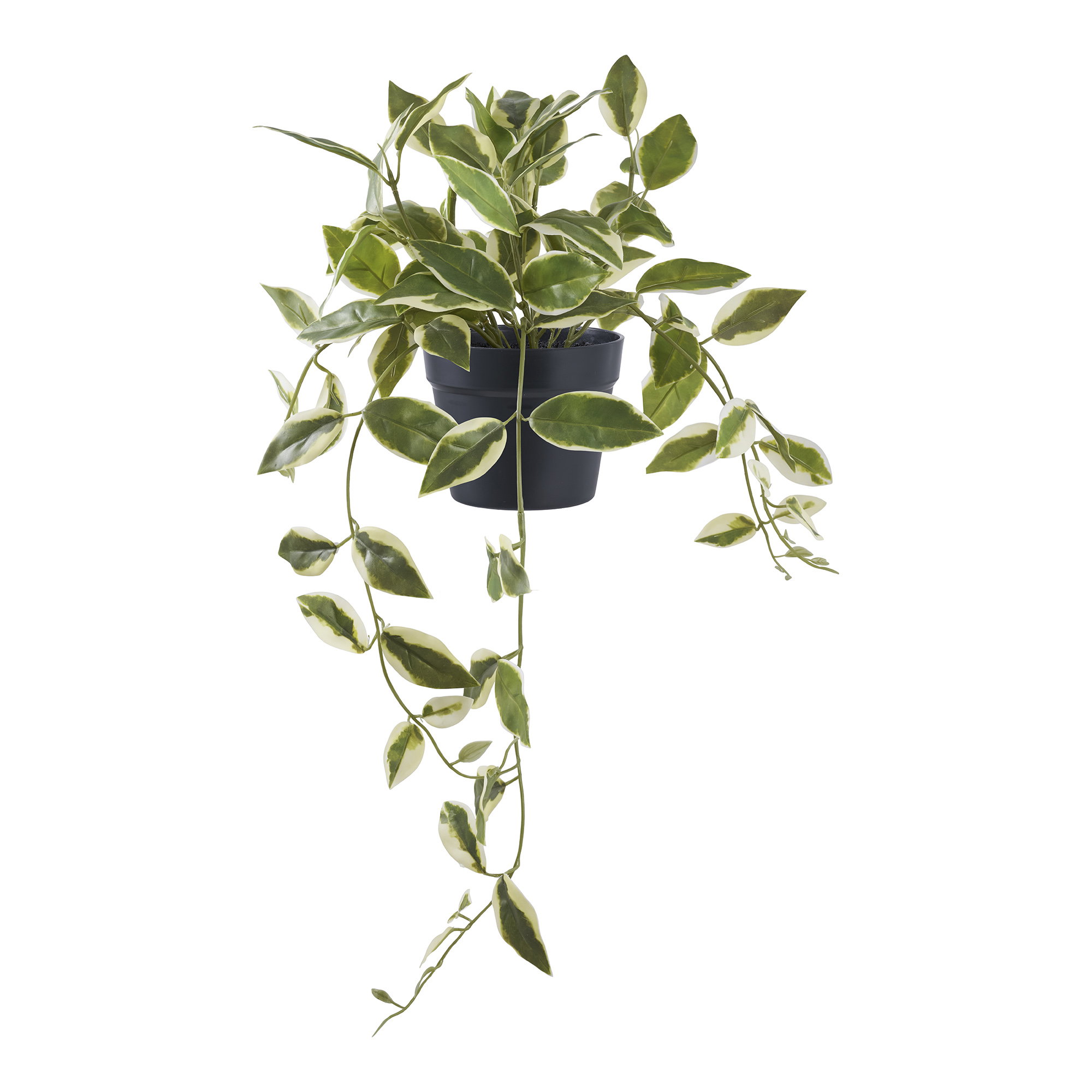 Kunstplant Trauka Kunststof Groen H33 cm