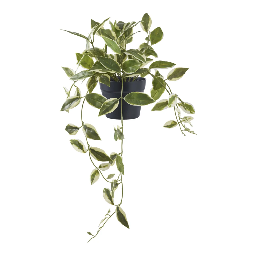 Kunstplant Trauka groen met hangende bladeren in zwarte pot, 33 cm hoog, natuurlijke uitstraling van kunststof