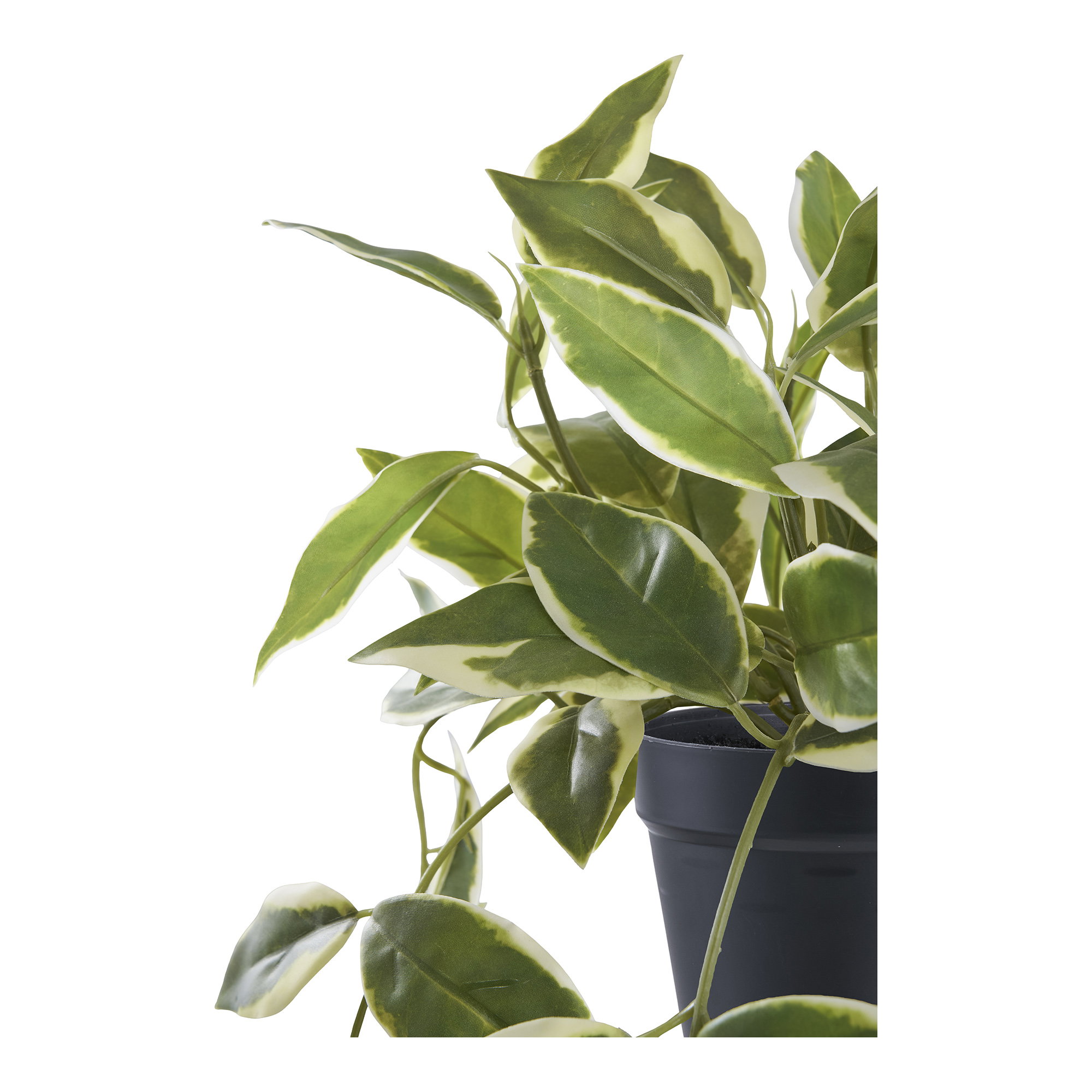 Kunstplant Trauka Kunststof Groen H33 cm - Afbeelding 2