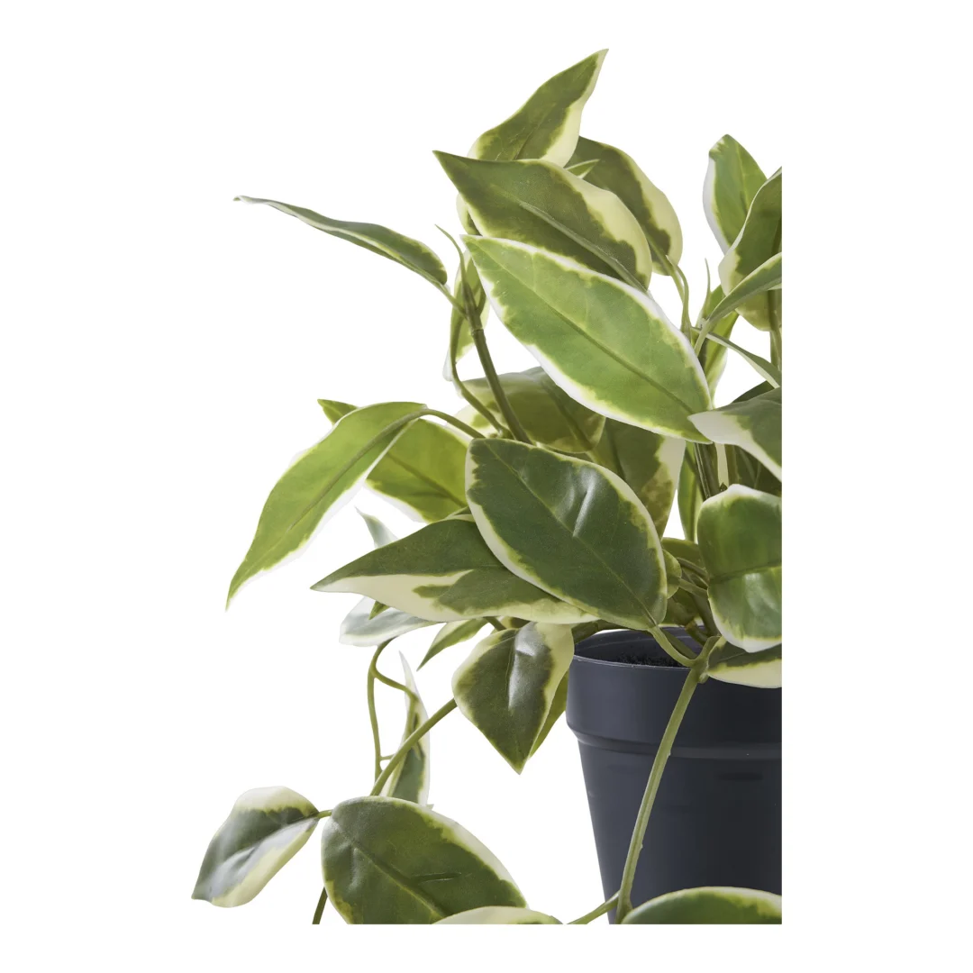 Kunstplant Trauka Kunststof Groen H33 cm - Afbeelding 2