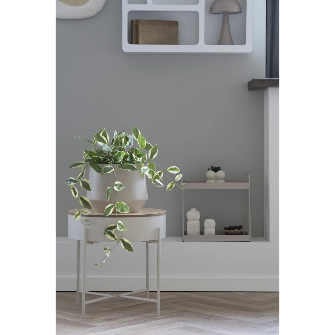 Kunstplant Trauka Kunststof Groen H33 cm - Afbeelding 3