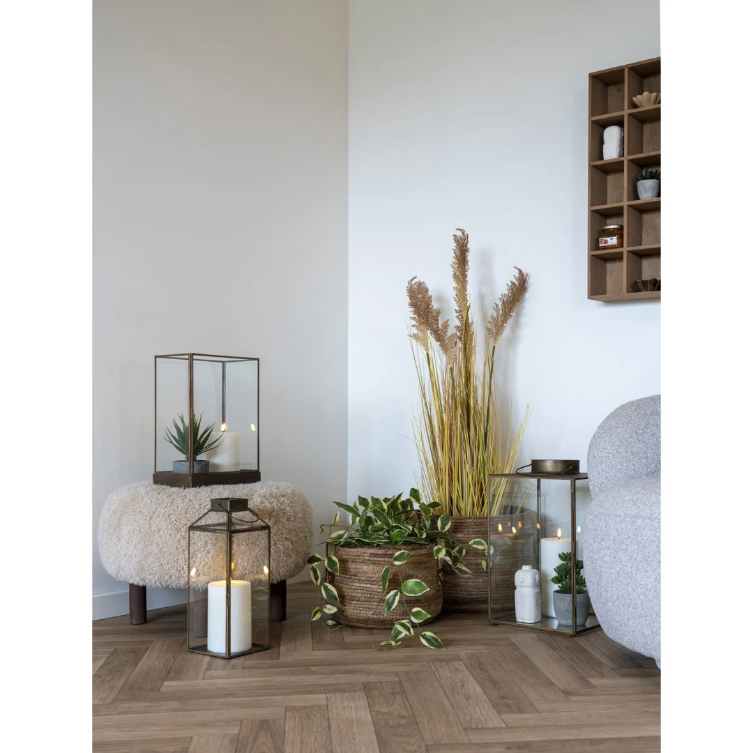 Kunstplant Trauka Kunststof Groen H33 cm - Afbeelding 4