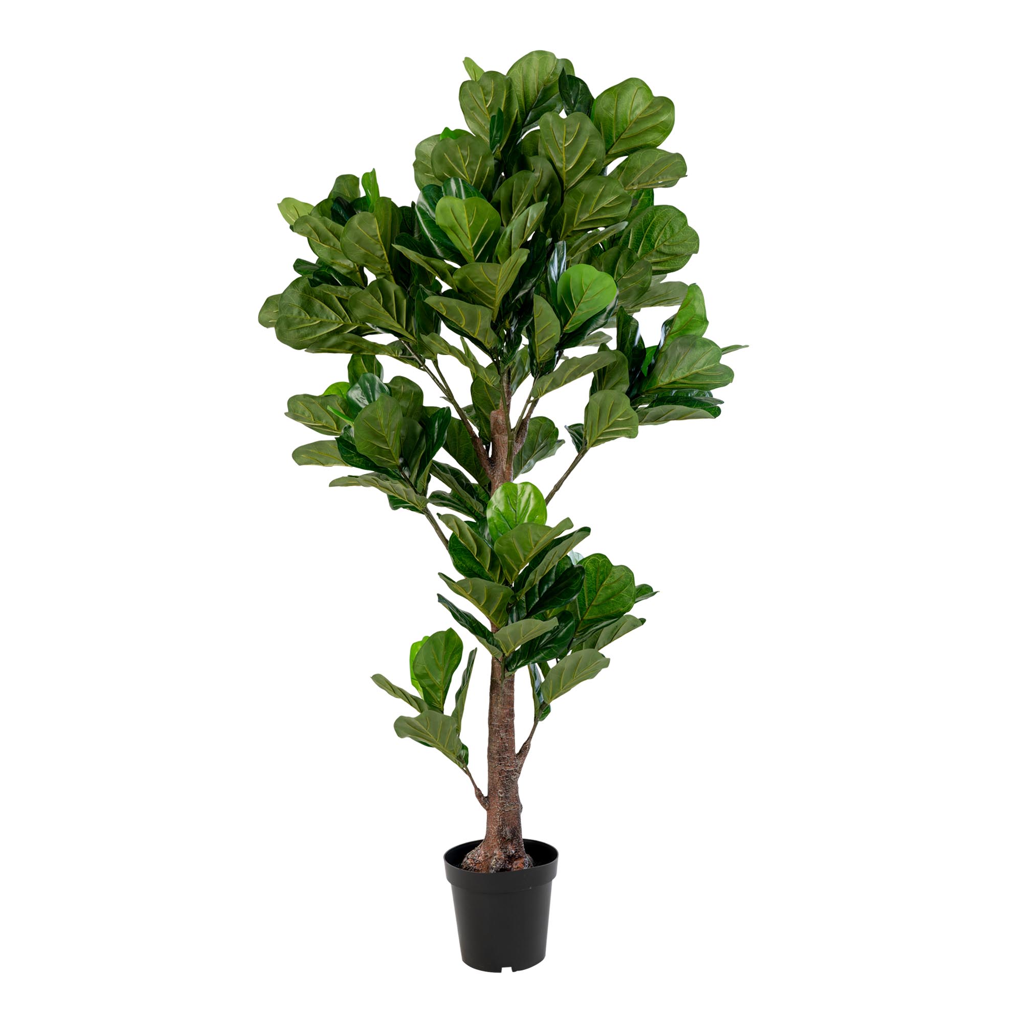 Kunstplant Fiennis Polyester Groen H190 cm