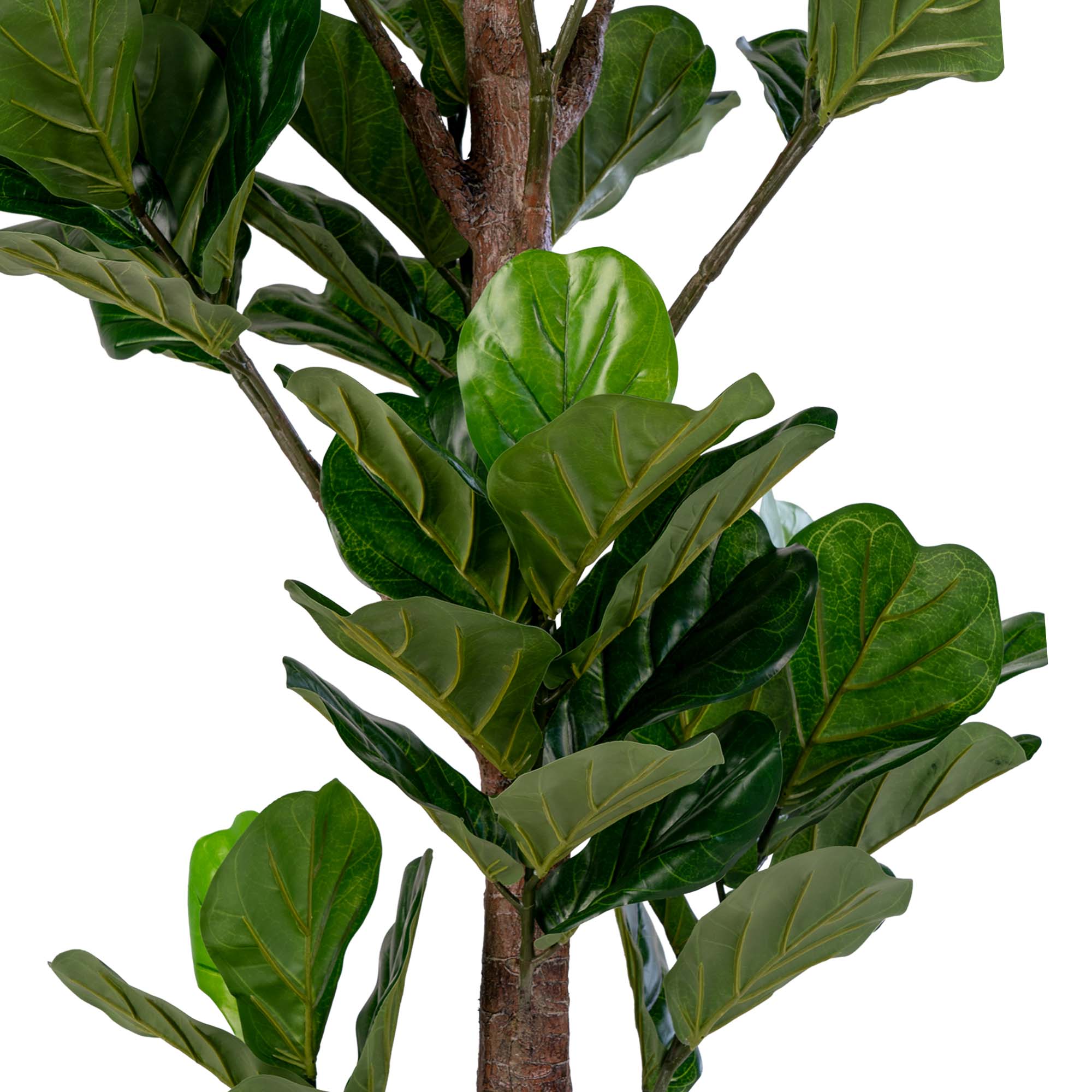 Kunstplant Fiennis Polyester Groen H190 cm - Afbeelding 2